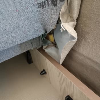 Defolu Ürün Ve İlgisiz Hizmet: Müşteri Memnuniyeti Hayal Kırıklığı