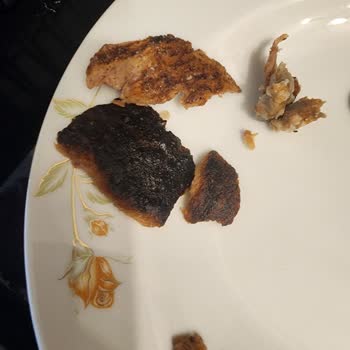 Namet Dönerdeki Belirsiz Yeşil-sarı Madde Ve Yanık Parçalar