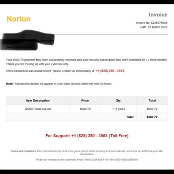 Norton Adı Kullanılarak Yapılan Şüpheli İşlem