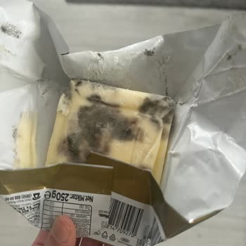 Bozulmuş Tereyağı: Sağlığımızla Oynanıyor