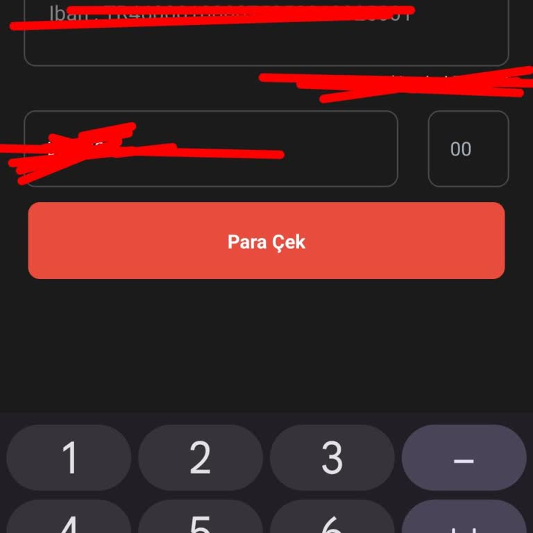 PayFix'te Çekim Sorunu