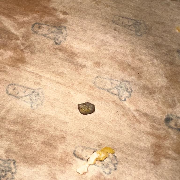 Dürümle Dürümde Taş Şoku: Müşteri Güvenliği Tehlikede