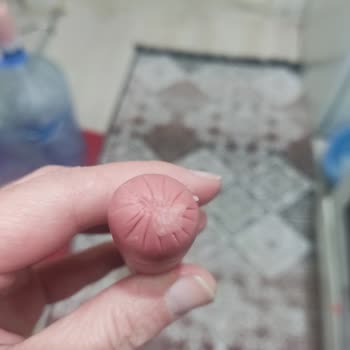 Son Kullanma Tarihi Gelmeden Bozulan Ürünler