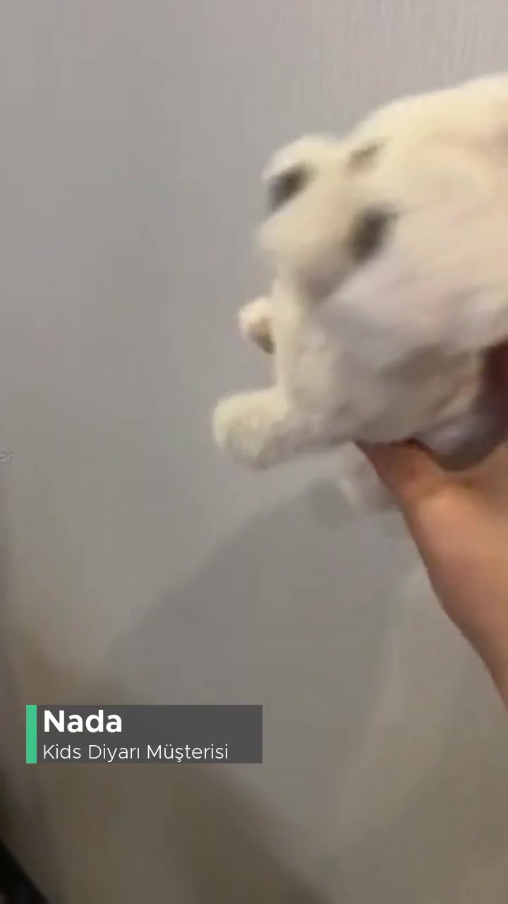 Kids Diyarı Oyuncak Gösterildiği Gibi Değil videonun kapak resmi