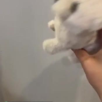 Kids Diyarı Oyuncak Gösterildiği Gibi Değil