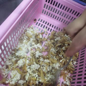 Bozuk Süt Yüzünden Ziyan Olan İncir Tatlısı