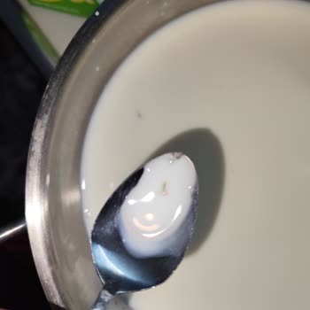 Halk Süt Ürünü Sağlık Tehlikesi: Küf Ve Yabancı Maddeler