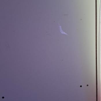 Montessori Yatak Odası Kabusu: Aldatıldık!