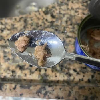 BİM Marketlerde Satılan Ton Balığında Şok Edici Sorunlar