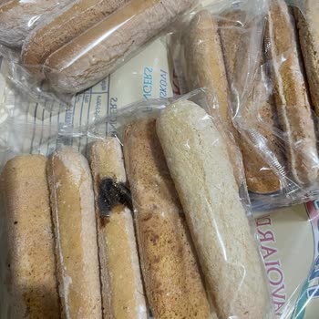 Pesotti Marka Kedi Dili Hayal Kırıklığı