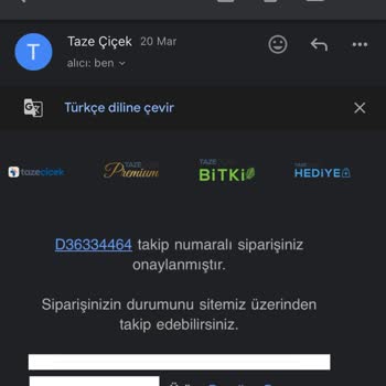 Geç Teslimat Ve Yanlış Ürünle Hayal Kırıklığı