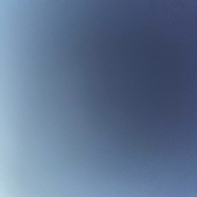 Sinbo Blender Seti Hayal Kırıklığı: Servis Desteği Yok!