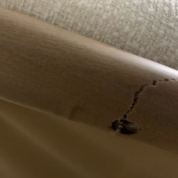 Vivense İle Koltuk Sorunu Çözülmüyor