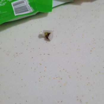 Çikolata İçinden Çıkan Tehlikeli Plastik Parça