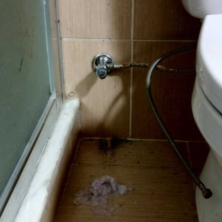 Aksigorta'nın Yetersiz Hizmeti: Tesisat Sorunu Çözümsüz Kaldı