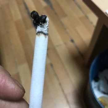 Kalitesizleşen Tütün Ve Artan Fiyatlar