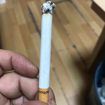 Kalitesizleşen Tütün Ve Artan Fiyatlar