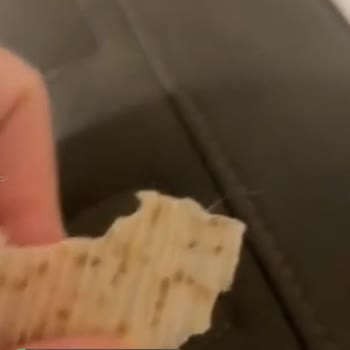 Haşiroğlu Cips İçinden Kıl Çıktı