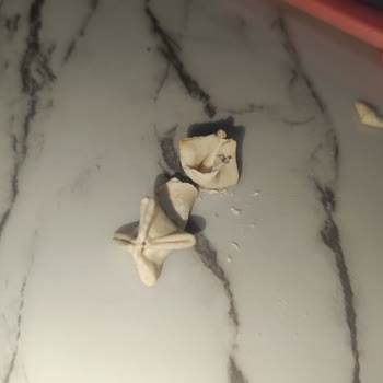 Mantı İçindeki Hayal Kırıklığı