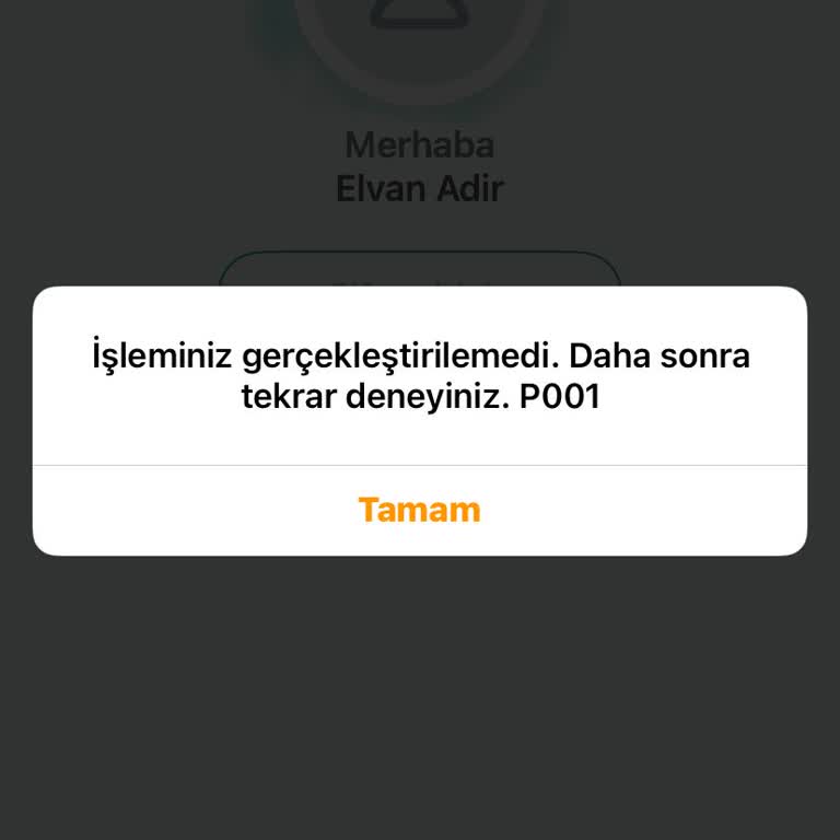Uygulamaya Giriş Yapamama Ve Müşteri Hizmetleri Sorunu