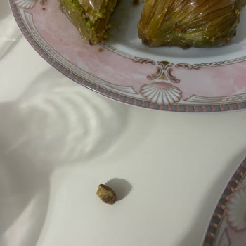 İftarda Beklenmedik Sürpriz: Misafirlikte Mahcubiyet Yaşatan Baklava Deneyimi