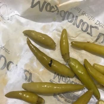 Hijyen Sorunu: Yemekte Böcek Ölüleri