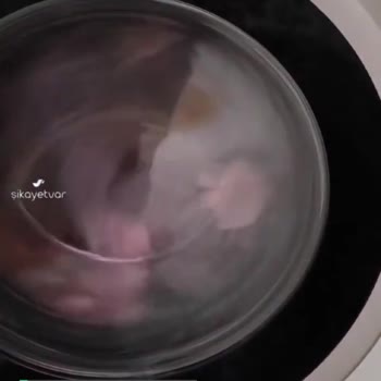 Profilo Çamaşır Makinesi Sıkma Problemi Aşırı Ses