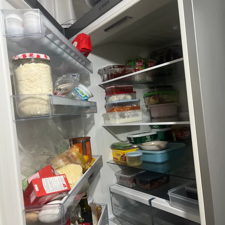 Bosch Buzdolabında Kronik Sorunlar Ve Yetersiz Servis