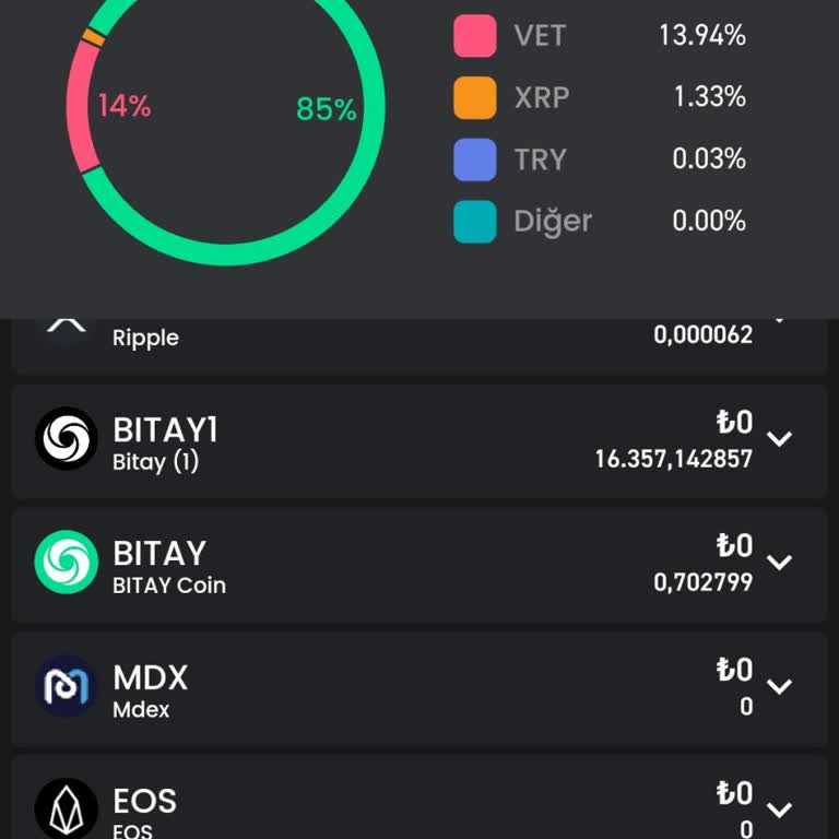 Bitay Borsasında İletişim Sorunu Ve Kayıp Coinler