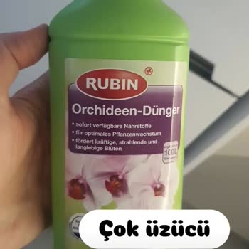Orkide Besini Felaketi: Güvenin Bedeli Ağır Oldu