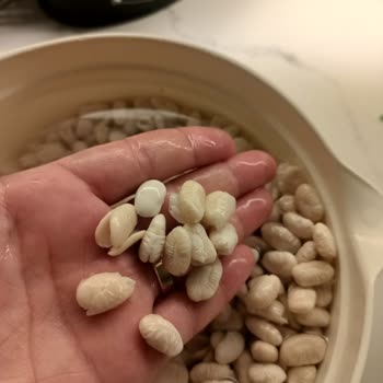 Reis Kuru Fasulye Hayal Kırıklığı