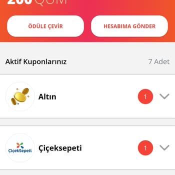 Qum Para Dönüşüm Hatası