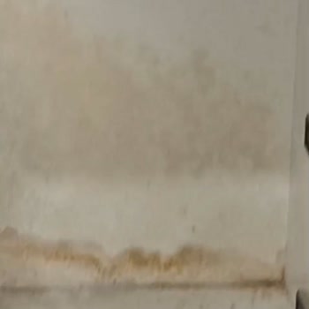 Vestel Tavrı Ve Yaklaşımı Hiç Doğru Değil