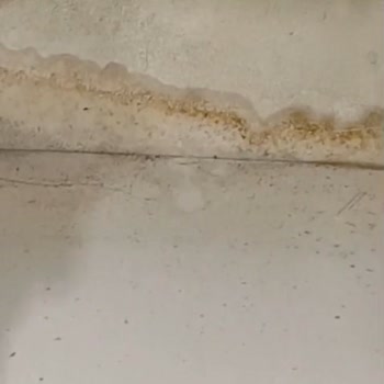 Vestel Tavrı Ve Yaklaşımı Hiç Doğru Değil