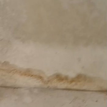 Vestel Tavrı Ve Yaklaşımı Hiç Doğru Değil