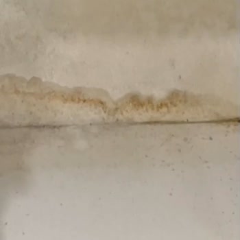 Vestel Tavrı Ve Yaklaşımı Hiç Doğru Değil