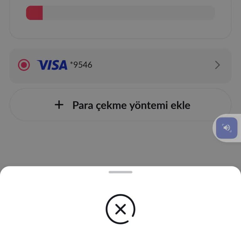 Visa Kartının Bağlantısını Kesememe Sorunu
