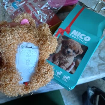 Kids Diyarı Hayal Kırıklığı Yaratan Robot Köpek Deneyimi