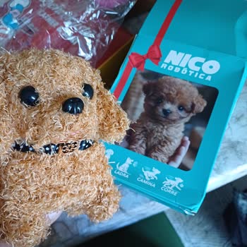 Kids Diyarı Hayal Kırıklığı Yaratan Robot Köpek Deneyimi