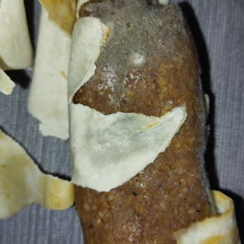 Küflü Ürün Ve İlgisiz Mağaza Deneyimi