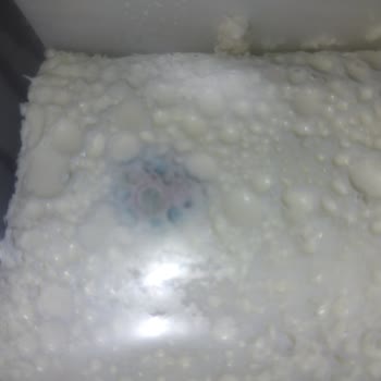 Son Kullanma Tarihi Geçmemiş Ürün Küflenmiş