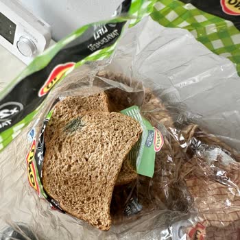 Küflü Ekmek Kabusu: UNO Kalitesinde Düşüş!