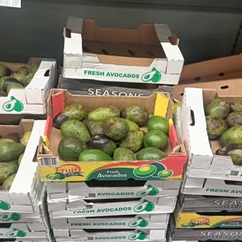 Metro Market'te Kalitesiz Avokado Sorunu
