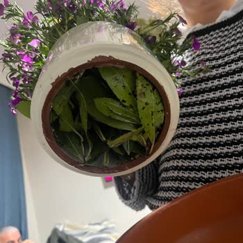 Dayanıksız Ürün Ve İlgisiz Satıcı Mağduriyeti