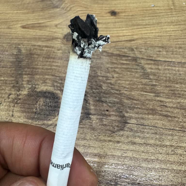 Parliament Sigara: Odun İçmek İstemiyoruz!