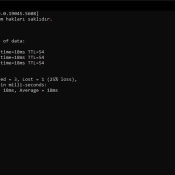 Netspeed İle Yüksek Ping Ve Çözüm Eksikliği