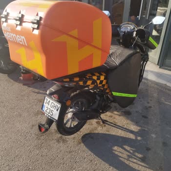 Ruhsat Sorunu Ve İlgisizlik