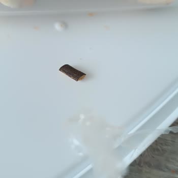 Migros'tan Aldığım Pizzada Tehlikeli Sürpriz