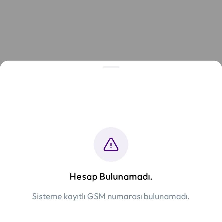 Kayıp Hesap Krizi: Acil Çözüm Bekliyorum!