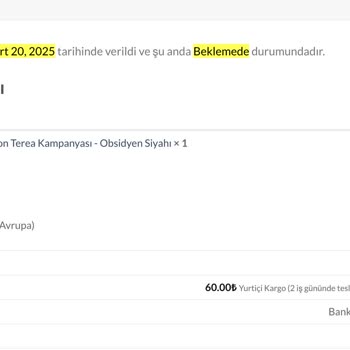 Teslimat Kabusu: Sipariş Verdim, Engellendim!